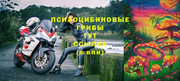 мяу мяу мука Гусев