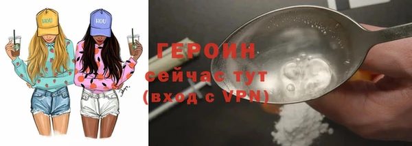 индика Гусь-Хрустальный