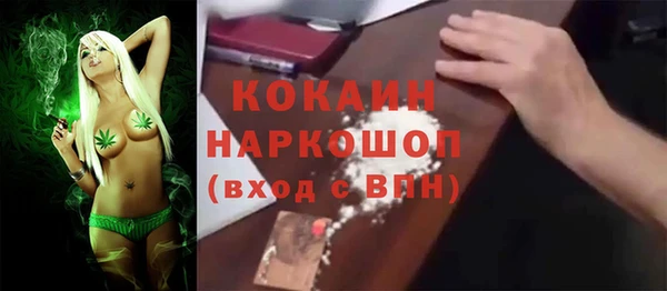 индика Гусь-Хрустальный