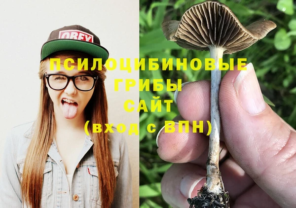 мяу мяу мука Гусев