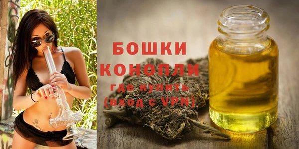 apvp Горняк