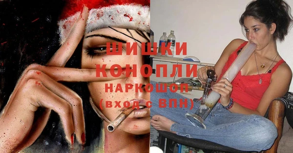 индика Гусь-Хрустальный