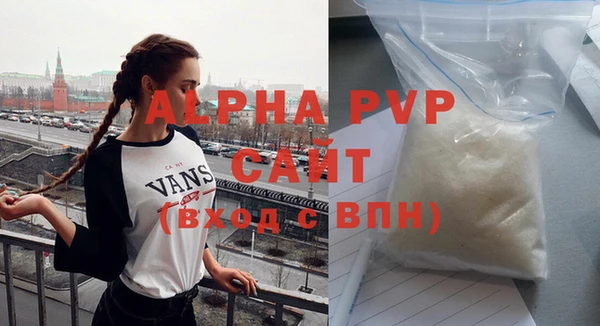 индика Гусь-Хрустальный