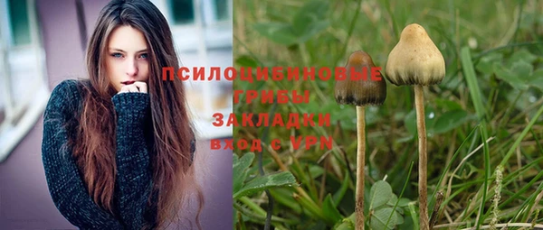 индика Гусь-Хрустальный