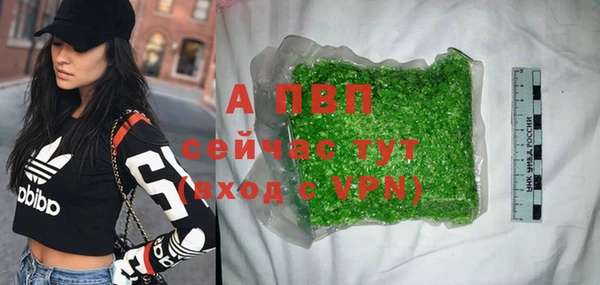 apvp Горняк