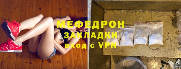 индика Гусь-Хрустальный
