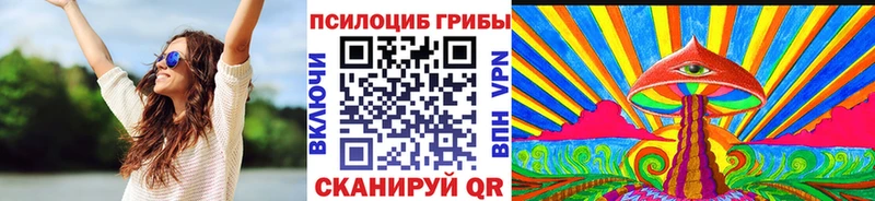 darknet наркотические препараты  Пионерский  Галлюциногенные грибы Cubensis 